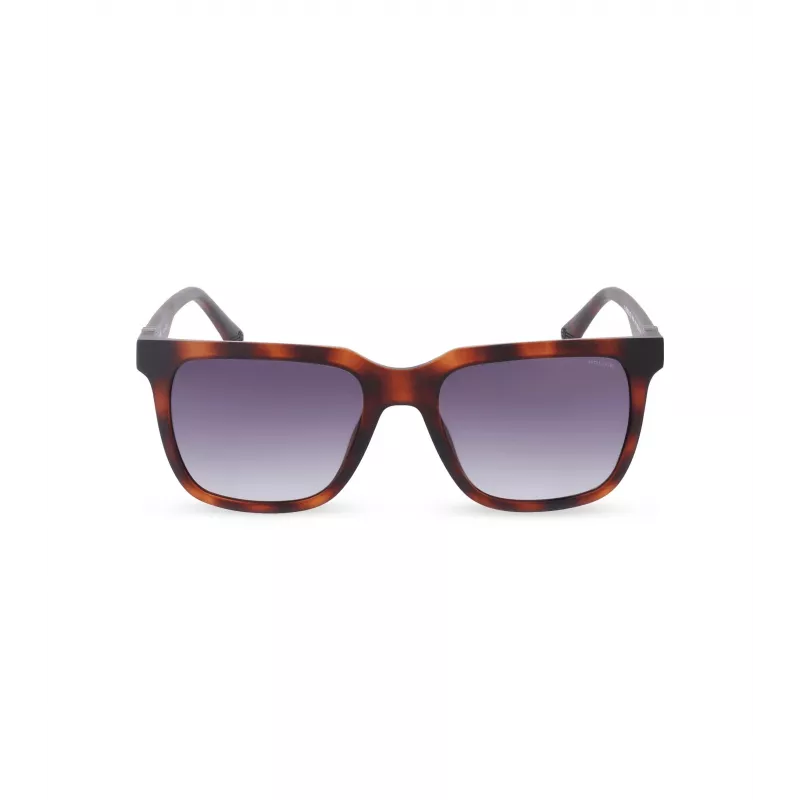 POLICE pánske slnečné okuliare SPLN34M540878 Havana acetátový rám hnedé sklá 54mm