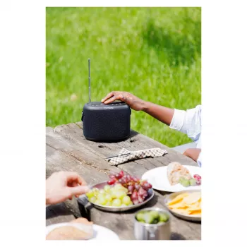 PURE ACOUSTICS Pure Woodland prenosný Bluetooth reproduktor – 10W, vodotesný, FM/DAB+ rádio, čierny (253344)