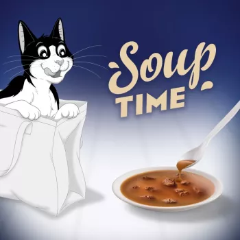 PURINA FELIX Soup ORIGINAL rybie príchute 6x48g