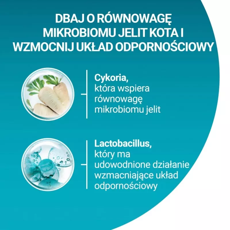 Purina ONE Sensitive morčacie a ryža suché krmivo pre mačky 750g
