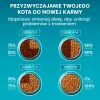 Purina ONE Sensitive morčacie a ryža suché krmivo pre mačky 750g