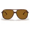 Ray-Ban Bill RB2198 slnečné okuliare korytnačina Havana hnedá Classic B-15 60 mm unisex