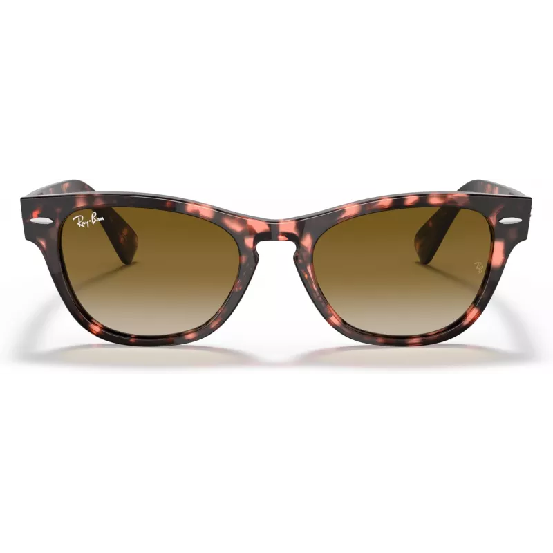 Ray-Ban Frank Square slnečné okuliare RB2201 133451 54/17/145 mm