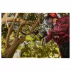Ryobi ONE+ RY18PS15A 18V akumulátorové nožnice na konáre 15 cm (150 mm) lišta – bez batérie