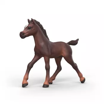 Schleich Horse Club zberateľské žriebä Ravi