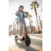 Segway Ninebot eKickscooter D38E čierno-červený