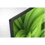 Sony FWD-32W8001 32