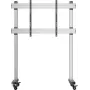 SpeaKa Professional SP-DS-200 TV vozík pre 70-120 inch displeje s ochranou proti krádeži, 150 kg