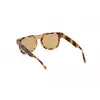 Slnečné okuliare WEB EYEWEAR pánske WE0315-0041F (šošovka/mostík/strmienok) 00/0/145 mm