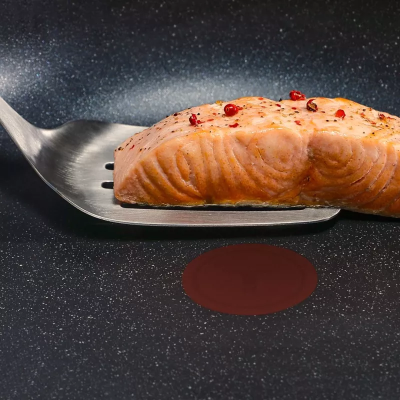Tefal Expertise Plus 24 cm panvica s nepriľnavou úpravou a Thermo-Spot