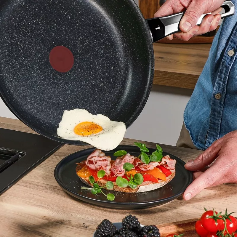 Tefal Expertise Plus 24 cm panvica s nepriľnavou úpravou a Thermo-Spot