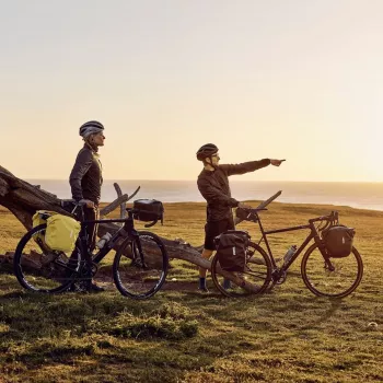 Thule 5403 Shield Pannier 13L sada 2 ks žltá