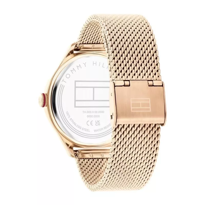 Tommy Hilfiger dámske hodinky 1782653 41 mm strieborná nerezová oceľ