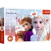 TREFL PUZZLE Puzzle 60 Magický svet Anny a Elsy