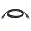 Tripp Eaton Tripp Lite Series USB 2.0 A na B kábel (M/M)