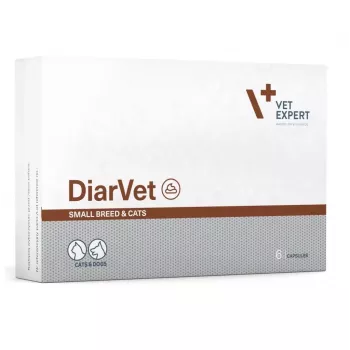 VetExpert Diarvet Small Breed and Cats 6 kapsúl