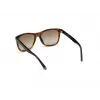 WEB EYEWEAR MAN WE0279-5652G slnečné okuliare Havana zelená 56/19/145 mm