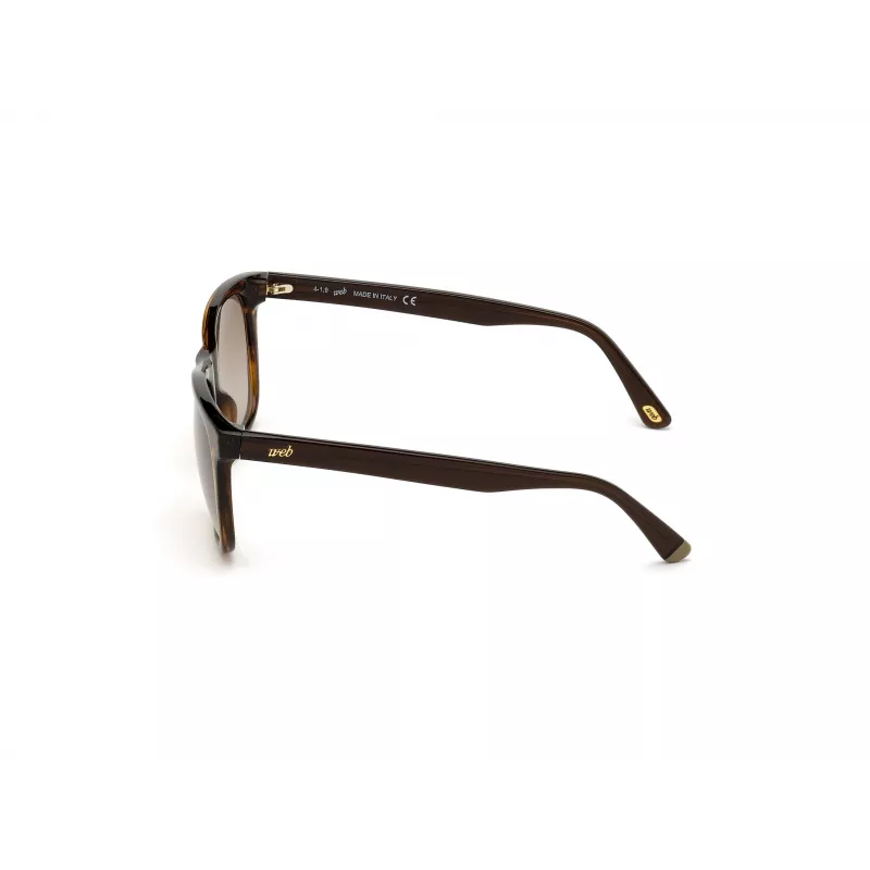 WEB EYEWEAR MAN WE0279-5652G slnečné okuliare Havana zelená 56/19/145 mm