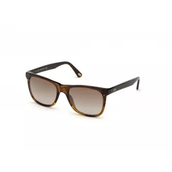 WEB EYEWEAR MAN WE0279-5652G slnečné okuliare Havana zelená 56/19/145 mm