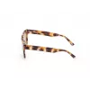 WEB EYEWEAR MAN WE0314-0041F slnečné okuliare Havana acetátový rám hnedé gradientové sklá 54-19-145