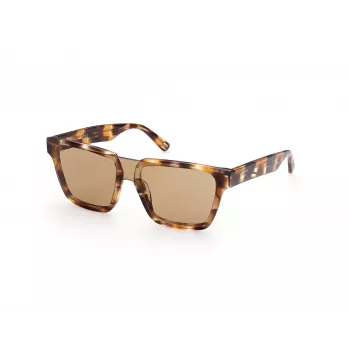 WEB EYEWEAR MAN WE0314-0041F slnečné okuliare Havana acetátový rám hnedé gradientové sklá 54-19-145