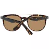 WEB EYEWEAR WE0146-5252G unisex slnečné okuliare Havana rám sivá gradientová šošovka 52mm