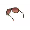 WEB EYEWEAR dámske WE0290-6552F havana hnedé hranaté cat eye slnečné okuliare 65/12/115 mm
