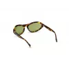 WEB EYEWEAR dámske slnečné okuliare WE0288-6052N (sklo 60 mm, mostík 18 mm, stranice 125 mm) UV400