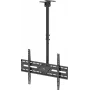 WENTRONIC Goobay TV stropný držiak XL 80175